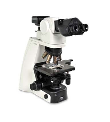 Brightfield Microscope