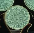 Human Microbiome Research