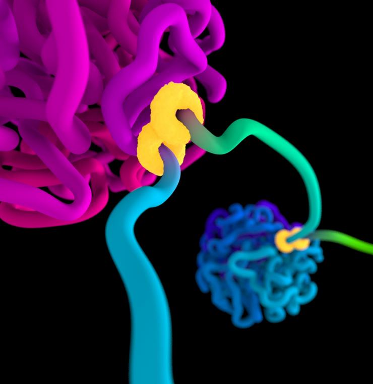 extrusion-globule.jpg