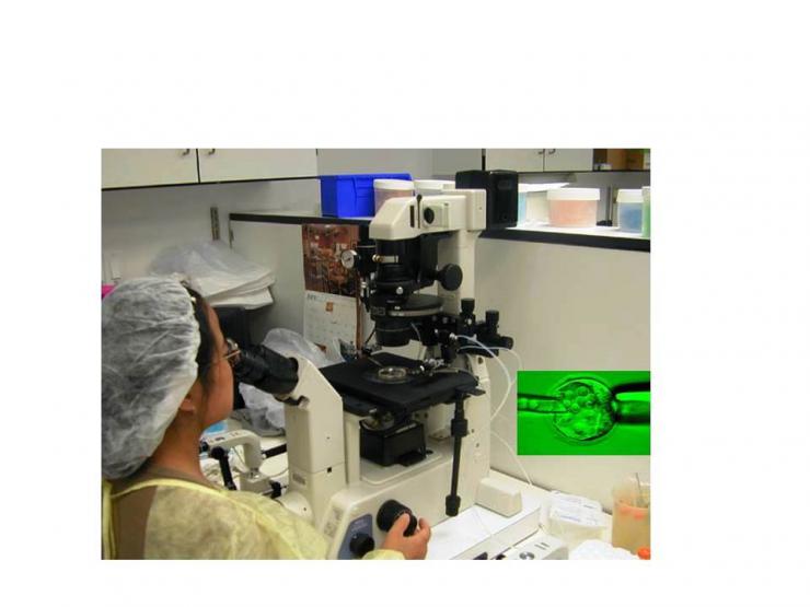 Gem Core Lab