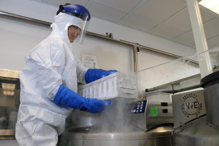 lab-photo.jpg