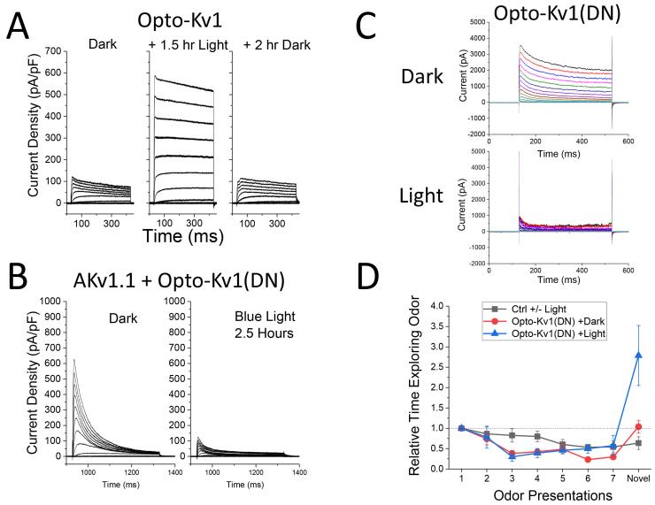 Pfaffinger Lab Figure 1