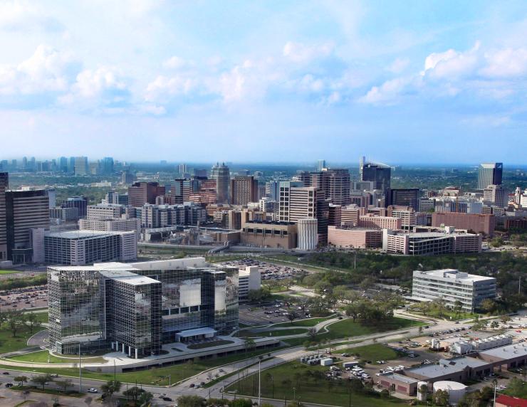 Texas Medical Center