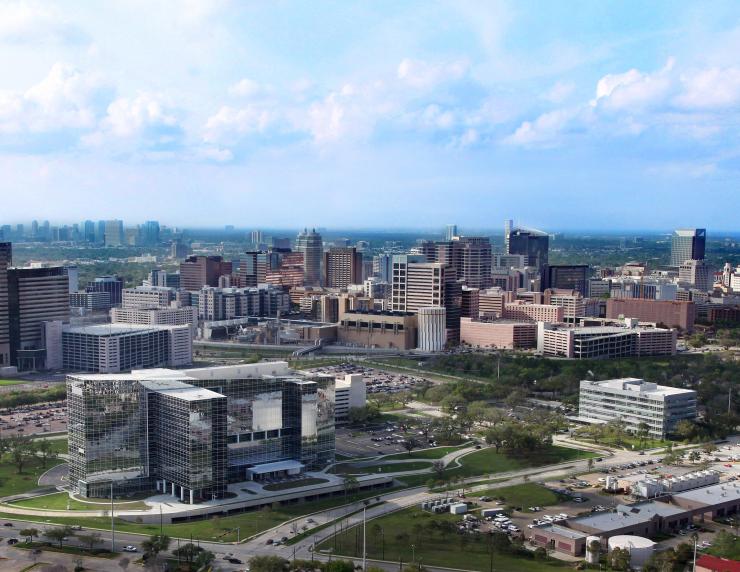 Texas Medical Center