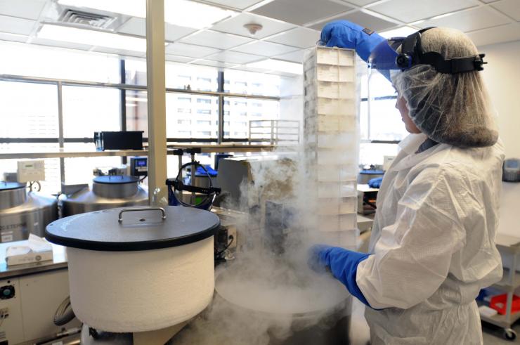 Grant will help researchers modify and extend the use of immunotherapies beyond non-lymphoma blood cancers and overcome remaining obstacles to broader applications of these cell therapies.