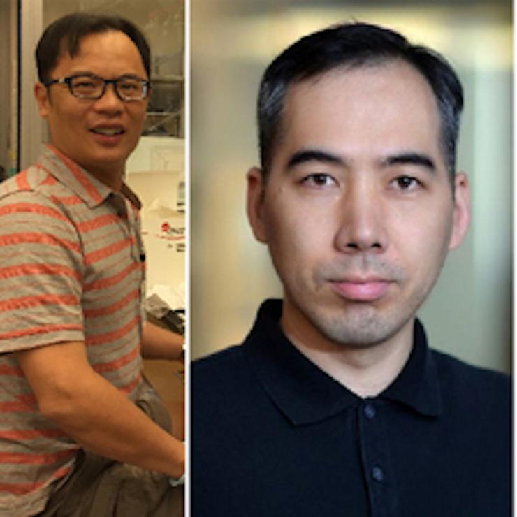 proteomics-team