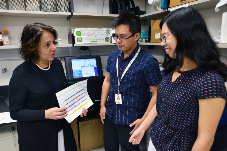 Dr. Susan Rosenberg, Jun Xia and Quian Mei in the Rosenberg Lab.