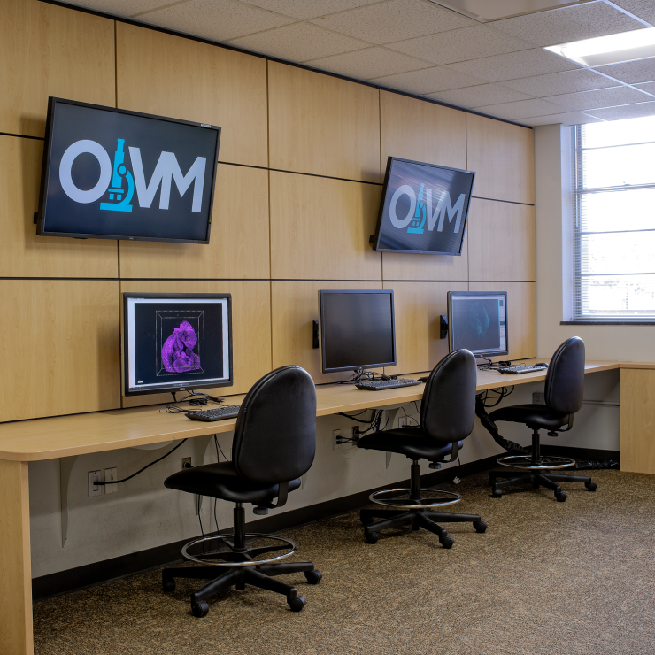 Image Processing/Analysis Workstations