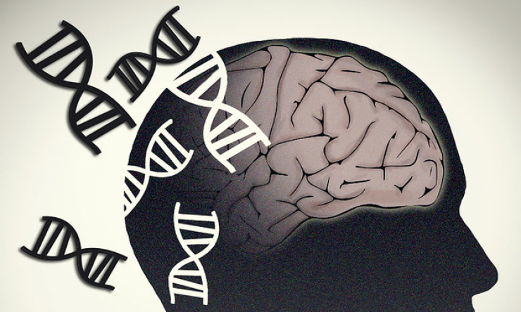 Brain with DNA From the Labs