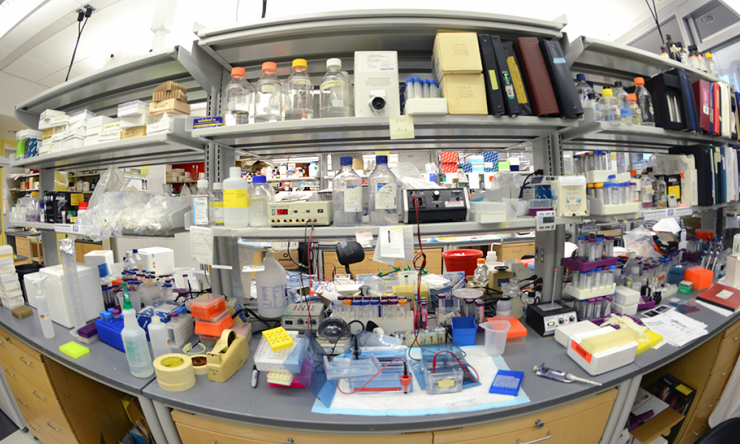 The Summer Medical and Research Training Program