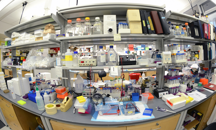 The Summer Medical and Research Training Program