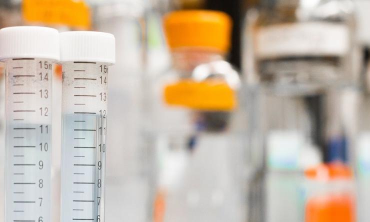 test tubes in a research lab