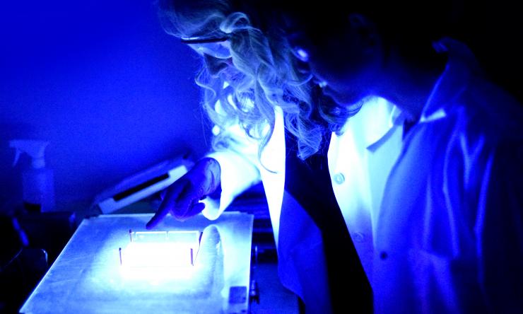 Home Research Mission Image