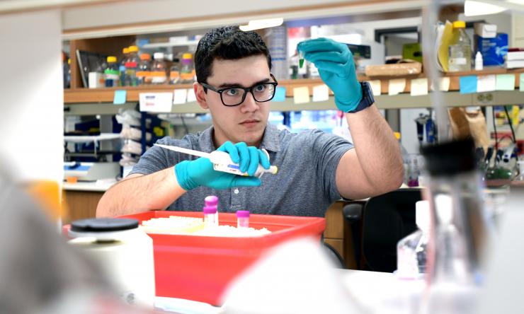 Kimberley Tolias Lab Member working at bench