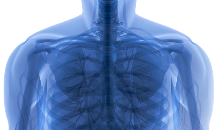 body of work prime art