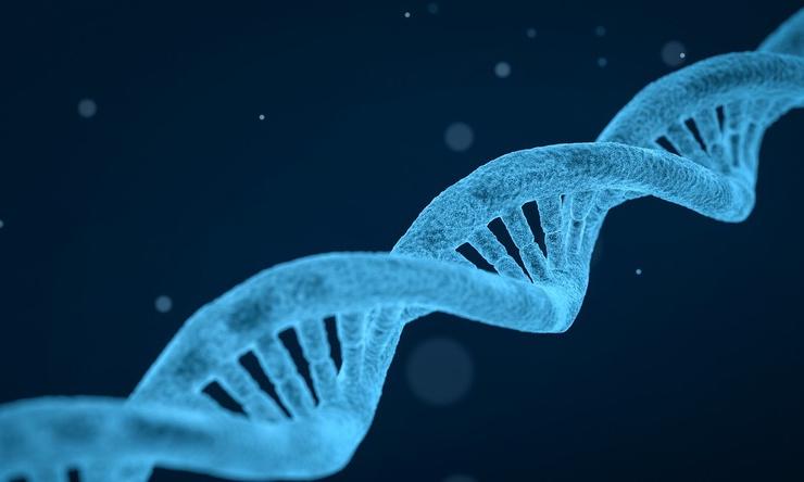 An illustration of a DNA double helix.