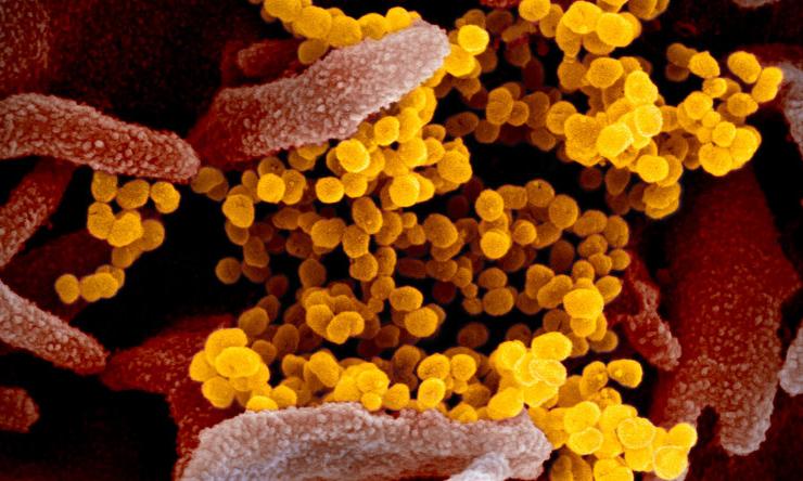 Coronavirus Preparedness