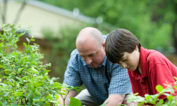 Two people work in a lush backyard vegetable garden