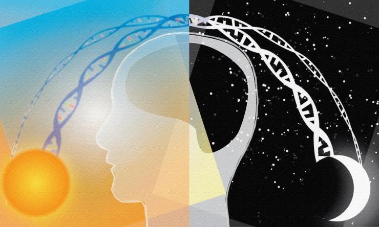 An illustration of a human face between a day and night sky