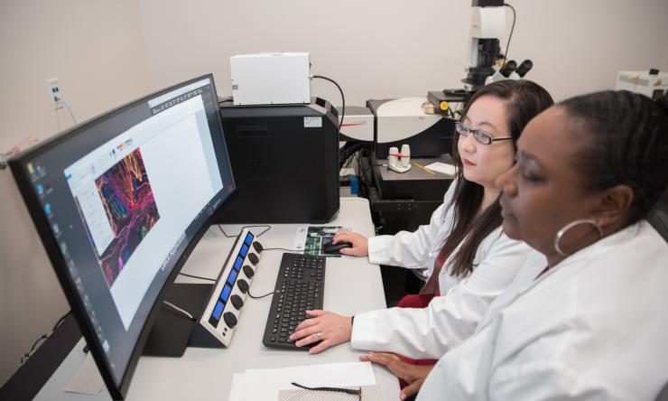 Chao Members in the lab