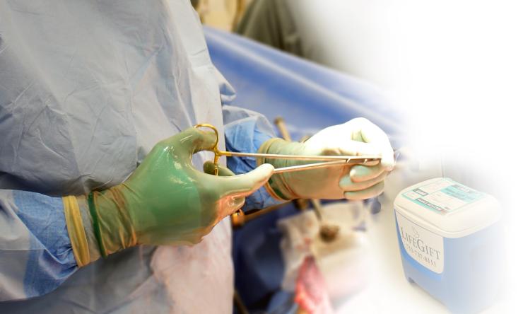 Hands performing a surgery