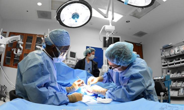 Plastic Surgery Education