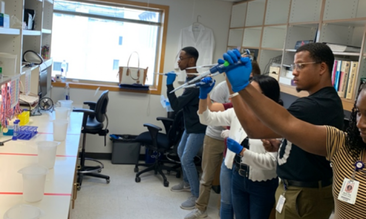 Wehrens Lab Fun