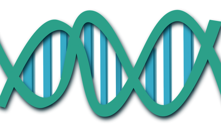 DNA illustration