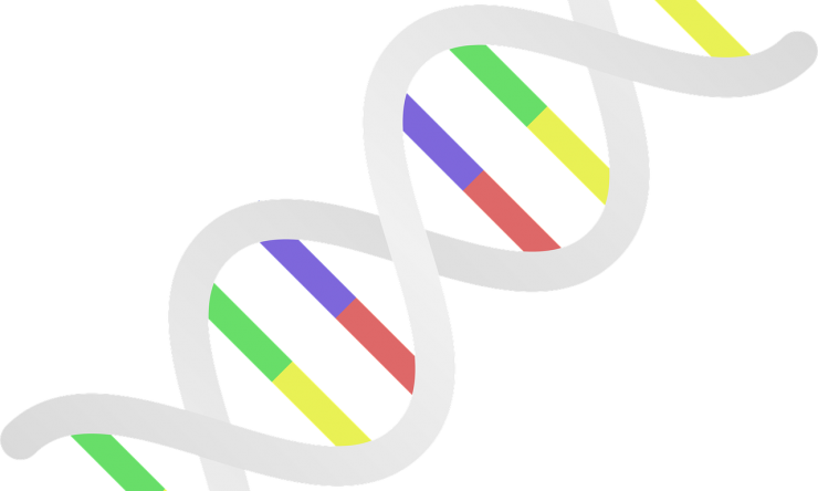 DNA