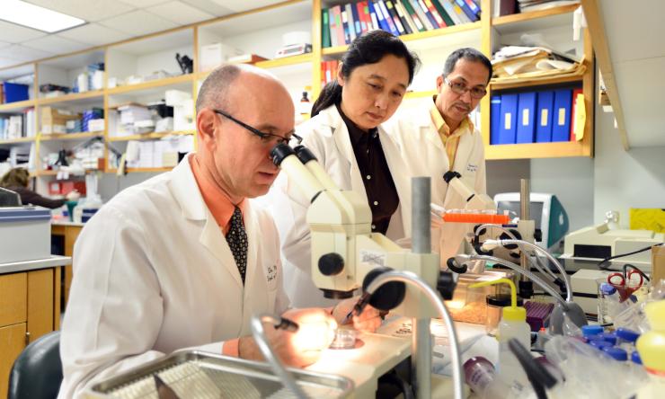 Dr. Matzuk in pathology laboratory