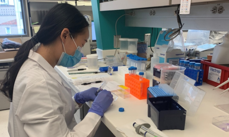 Yong Li Research