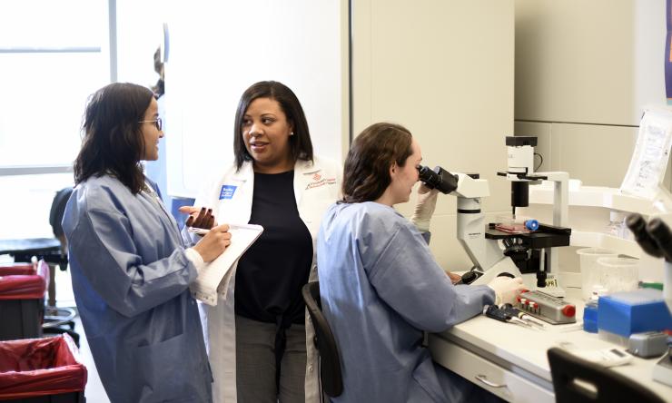 A team of doctors discuss in an office