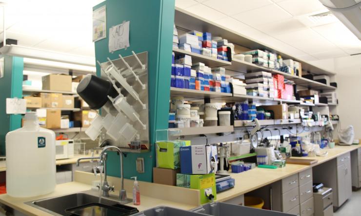 Neurosurgery Research