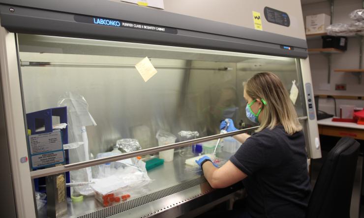 Neurosurgery Research Lab