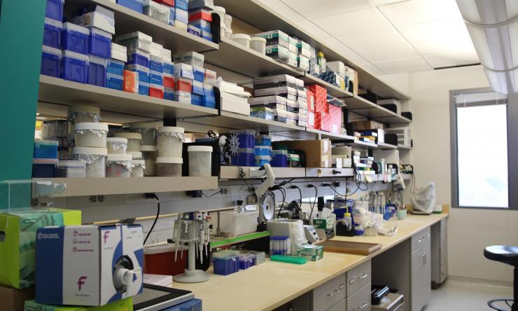 Rao Lab Research Bench