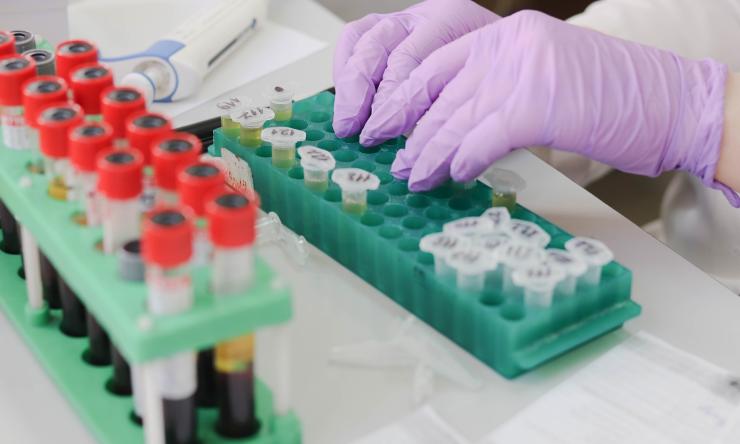 Close up of hands in a laboratory