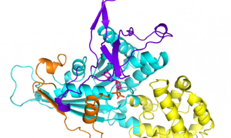 Macromolecular X-Ray Crystallography Core