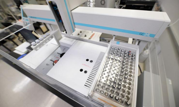 Stable Isotope