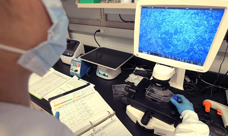 Tissue Culture Lab