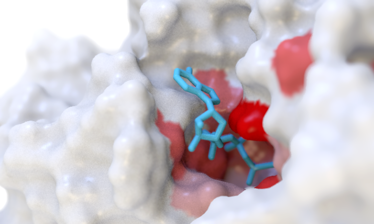 Hodges Lab ATP Pocket