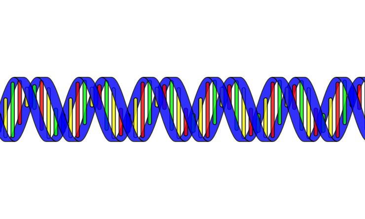DNA drawing