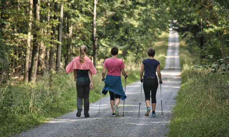 Three women walking on a nature trail. 