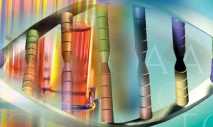 Sequencing and Analysis