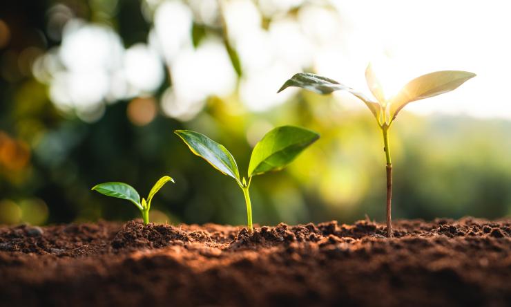 Family and Community Medicine Educational Endowment