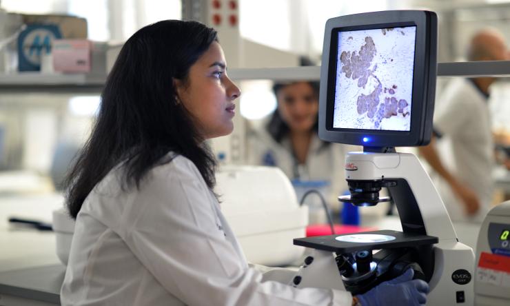 A researcher in a busy lab looking at microscopic imagery on a computer screen