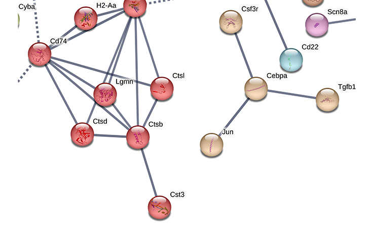 Administration and Data Integration Core