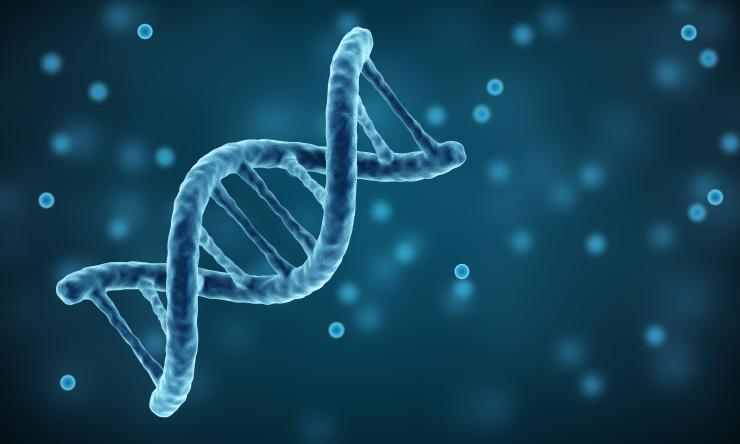 A floating DNA strand