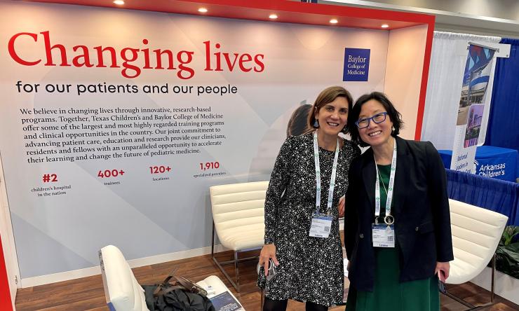 Faculty Development - National Organizations