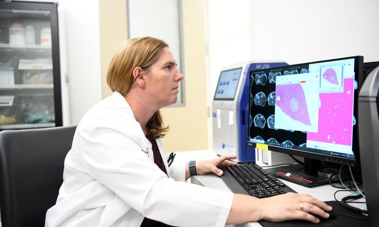A scientist working at a computer