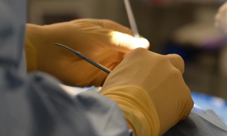 Close up photo of gloved hands performing surgery